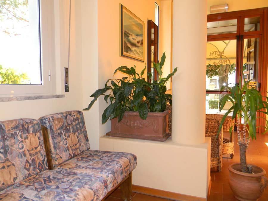 Hotel Parma Mare Marina di Massa Buitenkant foto